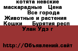 котята невские маскарадные › Цена ­ 18 000 - Все города Животные и растения » Кошки   . Бурятия респ.,Улан-Удэ г.